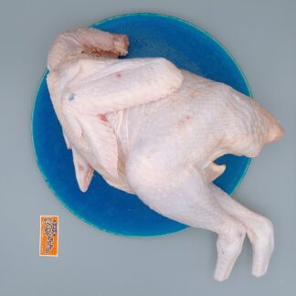 009-青森シャモロック丸鶏